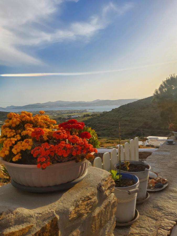 Romantic Sunset Cycladic House In Sotires Moni Christou Dasous Экстерьер фото